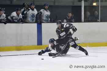 Albatros de Brest : les Finistériens s'inclinent d'un rien contre les ... - Ti Sport
