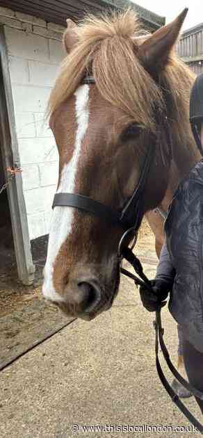 Charities 'massively impacted during Covid' -Duckett, Langley Academy