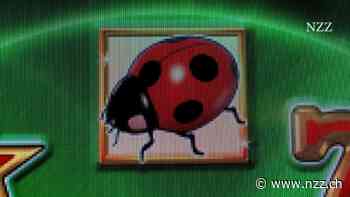 Keine Angst vor einem «Las Vegas der Alpen»