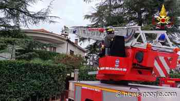 Allerta meteo con raffiche di vento, 42 chiamate di soccorso a Gorizia - Il Goriziano
