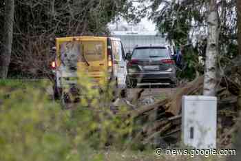 Politie arresteert vrouw die honden wilde redden (Berlaar) - De Standaard