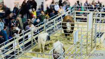 300.000 Gäste bei der Grünen Woche in Berlin