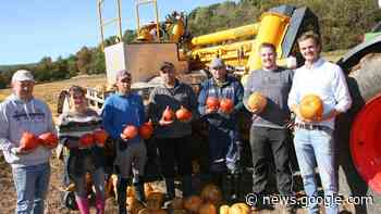 Kürbisse für den guten Zweck in Allendorf - Witzenhausen - hna.de