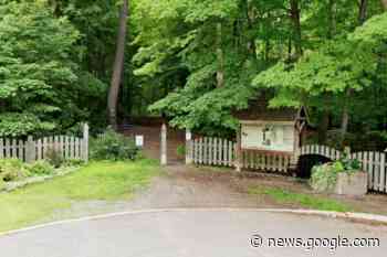Arnprior's Gillies Grove Nature Reserve — home to Ontario's tallest ... - Ottawa.CityNews.ca