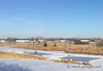Weyburn's River Rink is back again - DiscoverWeyburn.com - Local ... - DiscoverWeyburn.com