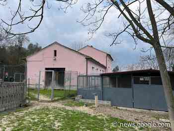 Canile di Macerata, scelta la commissione - Cronache Maceratesi