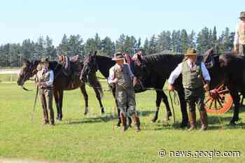 Sant'Antonio Abate: passeggiata a cavallo da Ghirlanda a Massa ... - IlGiunco.net