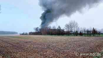 2000 Ferkel sterben bei Feuer im Emsland