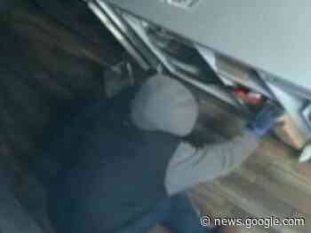 Brant OPP release image of suspect in 'smash-and-grab - Brantford Expositor