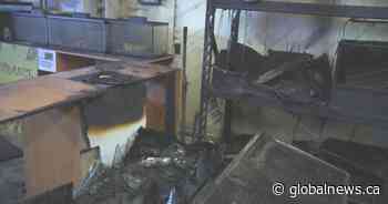 Fire at exotic animal rescue kills dozens of animals in Surrey, B.C.