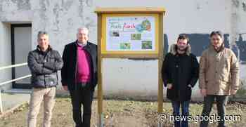 Arriva a Verona il progetto Prato Fiorito, innovativa tecnica di ... - TG Verona