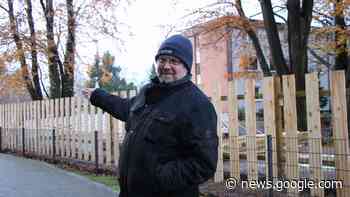 Tornesch: Darum werden an der Willy-Meyer-Straße Bäume gefällt - shz.de