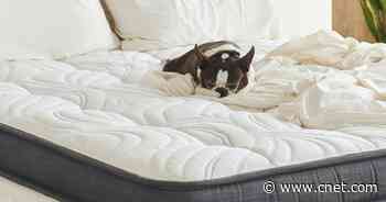 Best Gel Mattress for 2023     - CNET