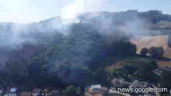 Hitze-Waldbrand in Plettenberg: Borkenkäfer-Fichten in Flammen ... - come-on.de