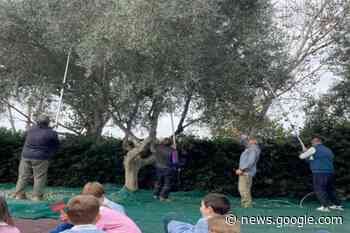 Per i piccoli studenti di Pescia Romana una giornata dedicata alla ... - Tuscia Web
