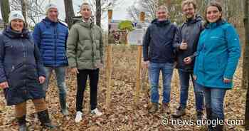 Eerste bomen aangeplant in Sallands zuivelbos bij Olst - AD