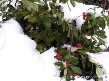 Was HÄUSLICHE Pflege im Stillen leistet !: Sogenannte "24 ... - Wochenblatt-Reporter