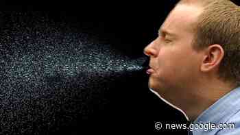 Autofahrer in Kaiserslautern muss niesen und baut deshalb Unfall - SWR Aktuell