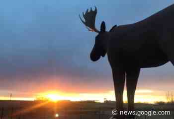 Moose Jaw ready to create a new Official Community Plan - 620 CKRM.com