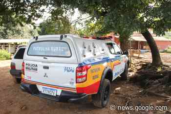 PM recupera gado furtado em Carmo da Mata e realiza prisão de ... - Portal G37