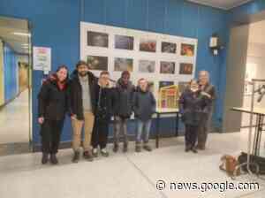Una “casa delle api” realizzata dalle persone dell’ANFFAS Cremona - Superando.it