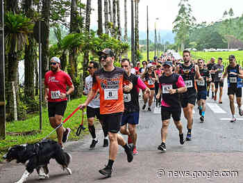 Pomerode Runners realiza mais um Treinão - Jornal de Pomerode