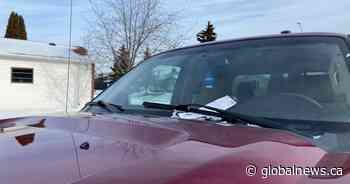 Edmonton residents frustrated over seasonal parking ban, fines