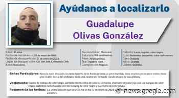 Buscan a Guadalupe Olivas, desapareció hace 5 días en San José - El Tiempo de México