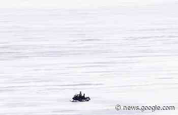 A Quebec snowmobiler dies after possible collision with moose ... - Squamish Chief