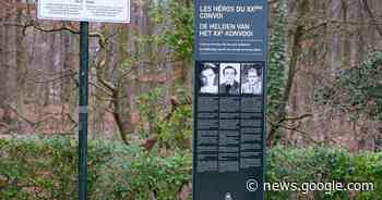 Stad Brussel huldigt drie nieuwe gedenkplaten in voor jonge ... - Het Laatste Nieuws