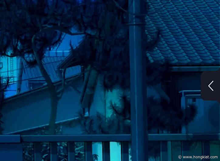 Movavi Screen Recorder Review, Features, and Price (2023)