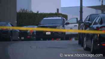 3 Women With Chicago-Area Ties Killed in Mass Shooting Near Beverly Hills