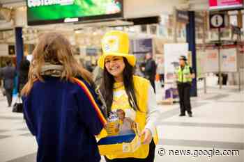 How you can help Marie Curie's Great Daffodil Appeal campaign - St Helens Star