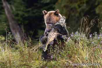Northern B.C. focus of next Delta Photo Club workshop - Surrey Now Leader