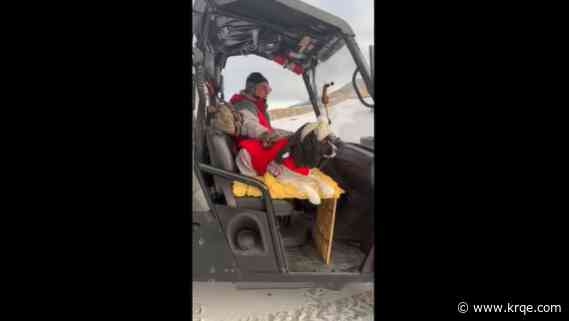 Albuquerque man, dog helps community tackle winter weather