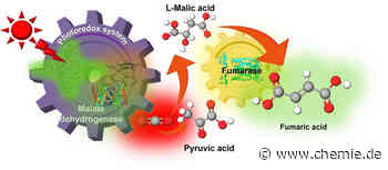 Künstliche Photosynthese nutzt Sonnenlicht zur Herstellung von biologisch abbaubarem Kunststoff