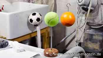 Kreativität: Denken Sie wie Nikola Tesla oder Isaac Newton?