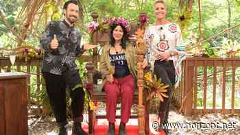 RTL-Dschungelcamp: "Ich bin ein Star - Holt mich hier raus!" knackt 4-Millionen-Marke