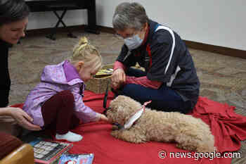 Salmon Arm Library's therapy dog story time with Rolo a paw-pular ... - Salmon Arm Observer
