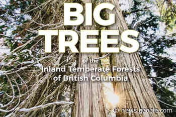 Author to share passion for preserving big trees in Salmon Arm ... - Salmon Arm Observer