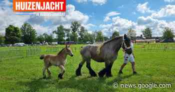 HUIZENJACHT. Herne, hartje Pajottenland: “Wie een stek in het ... - Het Laatste Nieuws