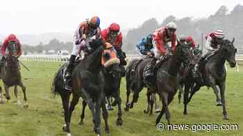 Sharrock's Cup plan comes unstuck as favourites falter - New Zealand Herald