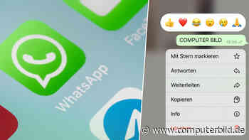 WhatsApp: Neues Feature macht Reaktionen fühlbar