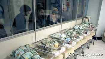 Neonato morto a Roma, l'appello dei genitori di Lodi: «Date più ... - Il Cittadino