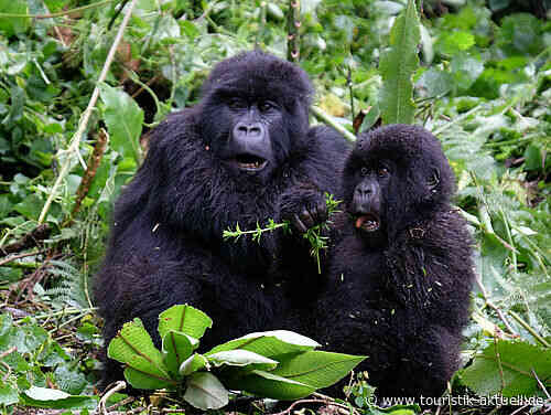 Intrepid Travel: 80 neue Reiseerlebnisse für 2023