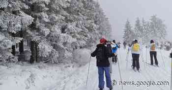 Laatstejaars Hartencollege Secundair Weggevoerdenstraat gaan ... - Het Laatste Nieuws