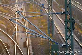 Taube legt Hauptbahnhof Mannheim lahm - schiene.de - Bahnverkehr und Infrastruktur