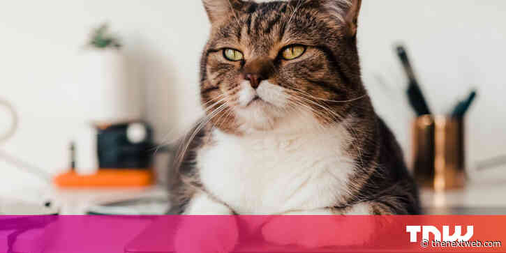 Quiet quitting is comforting — quitting is liberating