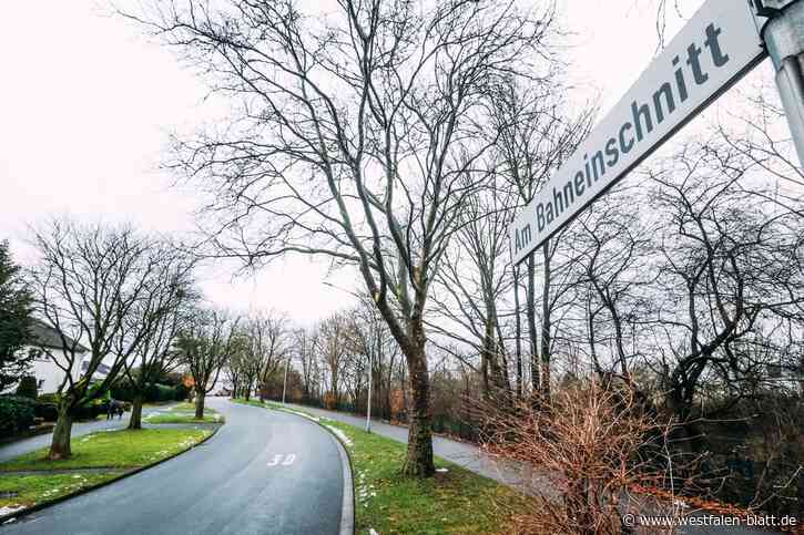 Stadt Paderborn prüft Einrichtung einer Fahrradstraße
