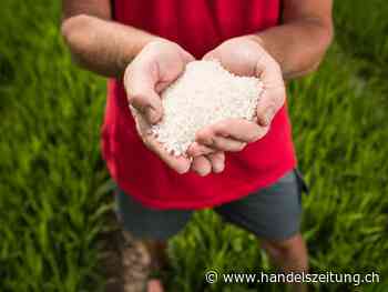 Schweiz ist bei Reis auf teurer gewordene Importe angewiesen